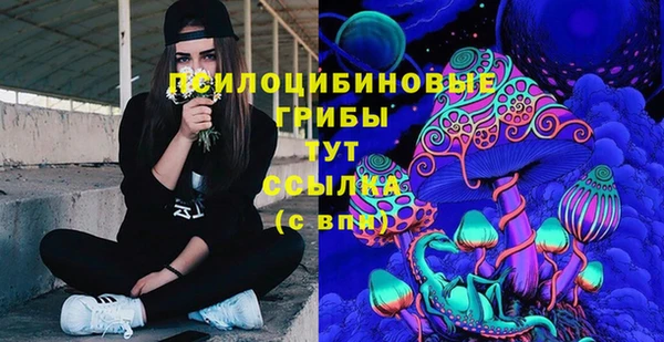 таблы Алзамай