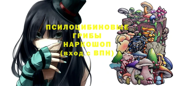МДПВ Алексин