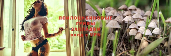 мдпв Алексеевка