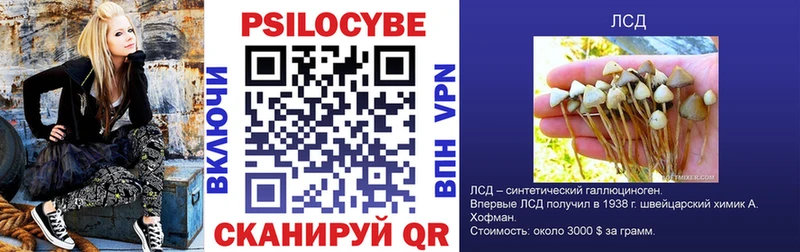 закладки  Выкса  Псилоцибиновые грибы Psilocybe 